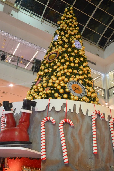 BHV Christmas Spell